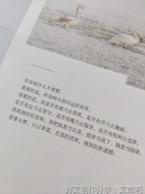 《愿安系列》的句子