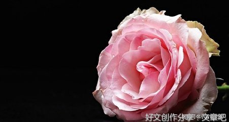 《遇见另一个自己》的句子