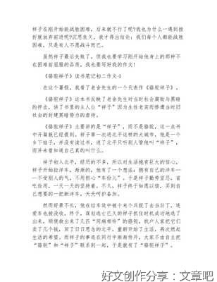 《骆驼祥子》读书笔记经典作文
