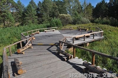 暑假里的乐趣400字