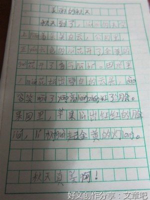 树叶告别大树想象作文