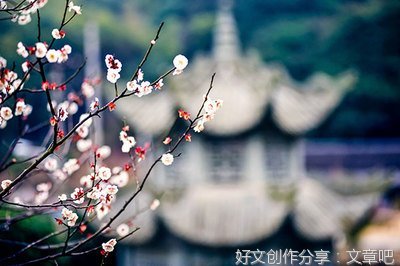 曾经我也想过一了百了读后感100字