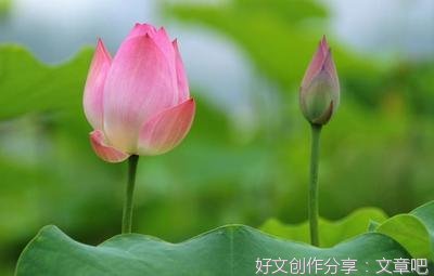 帮妈妈刷碗300字作文(通用10篇)