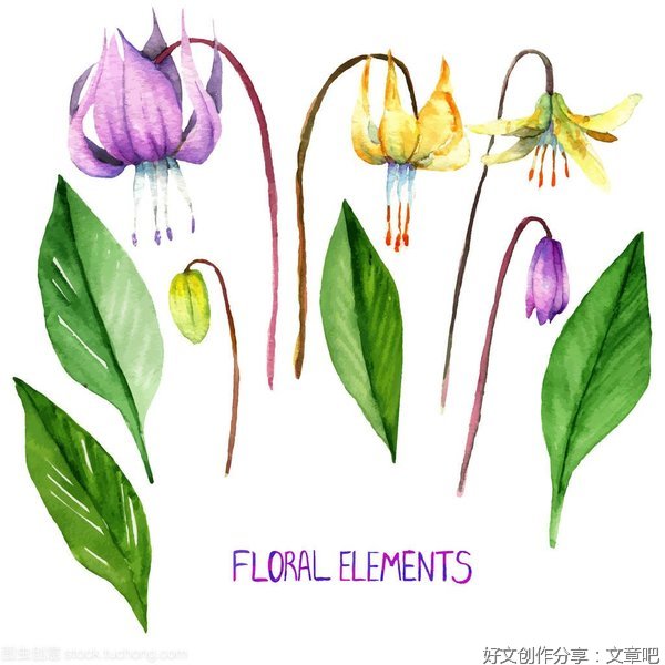 春天的芽作文一百多个字(精选10篇)