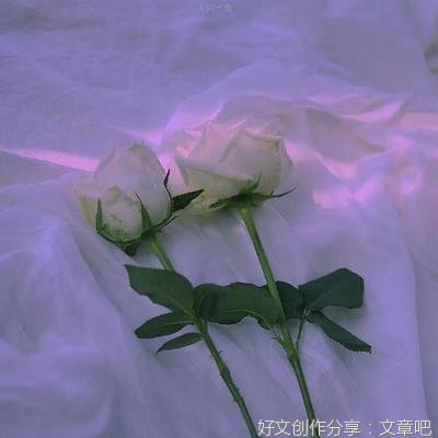 有关六爻的句子