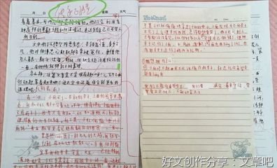 《加害人家属》读后感1000字
