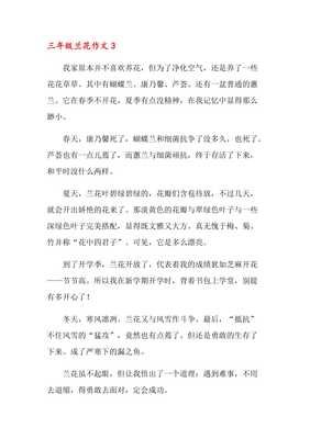 兰花作文500字