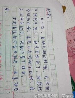 葡萄作文300字