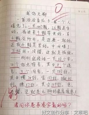 关于无聊的作文100字500字