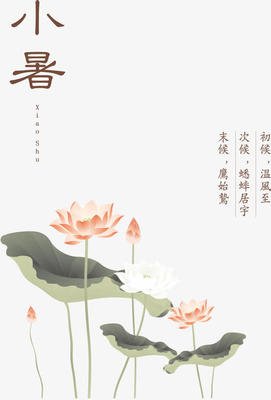 关于小暑的作文400字(精选10篇)