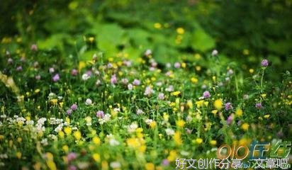 关于校园同学宽容的作文(通用10篇)