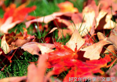 关于清歌姒墨的句子