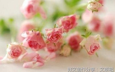 关于每天来点鸡汤的句子