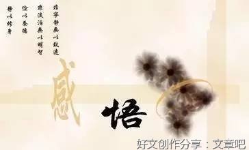 关于感情、心情、感悟、心境的优美句子