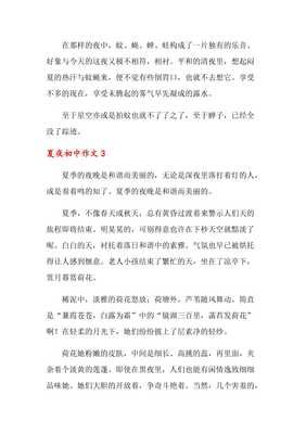 有关夏夜的作文