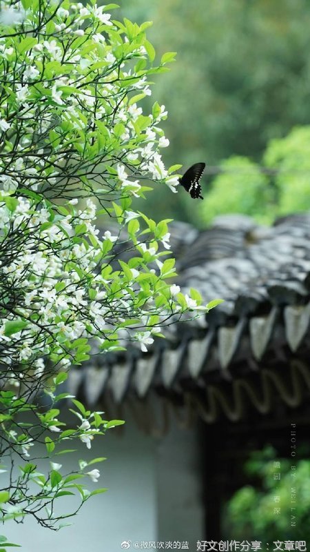 诗意
