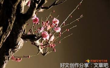 关于杂的句子