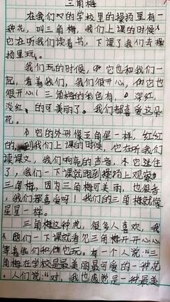 梅作文800字