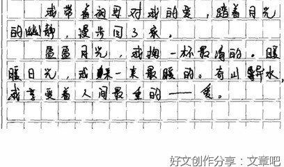 有关茉莉花的作文