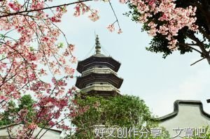 关于导卫星的作文300字(通用10篇)