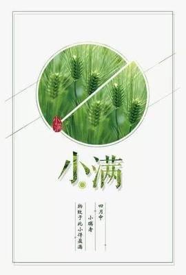 关于大暑的事的作文400