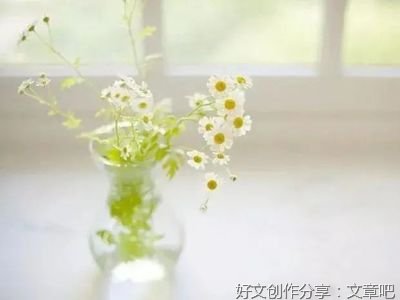 关于略有格调的句子