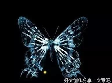 混沌读后感精选