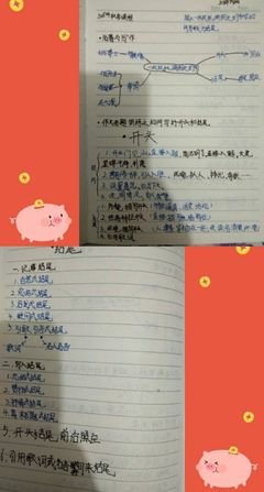 有关调皮的作文