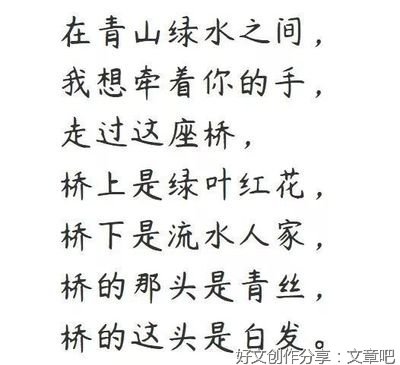 《写给k先生的情书》的句子