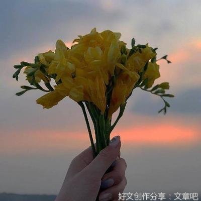 伤感优美的句子
