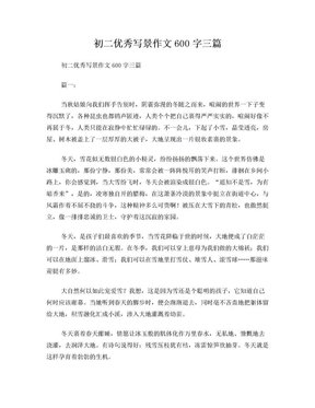 初二作文600字
