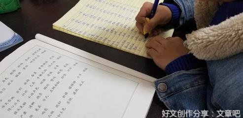 关于桃花的游记作文300字