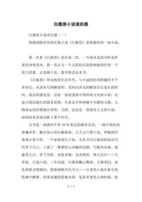 小说风景读后感1000字