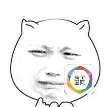 读书优美的句子