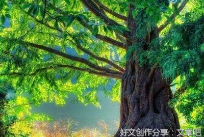美的优美句子