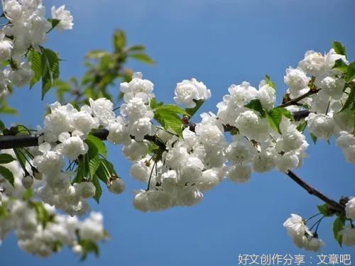 小城现象与中国经济危机