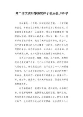 骆驼祥子读后感