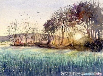 夸夸我的家乡作文