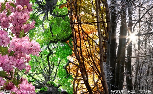 关于我最喜欢的季节的作文