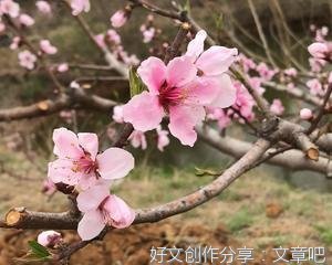 读《会飞的教室》有感
