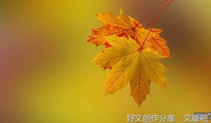 谁最美经典作文