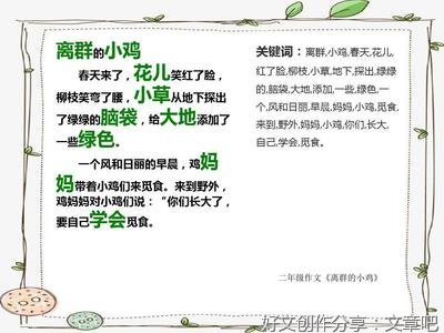《离群的小鸡》的作文