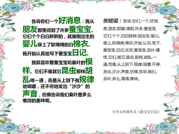蚕作文500字