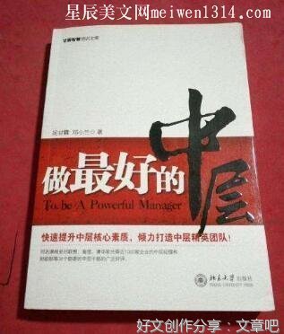 《职场晋升101》的读后感大全