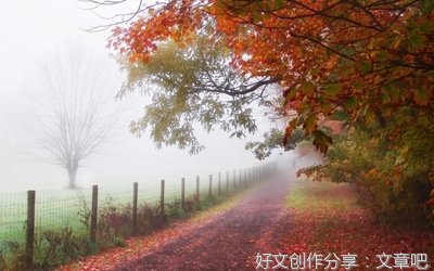 唯美句的优美句子