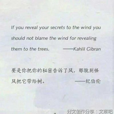 wd优美的句子