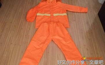 起飞，大鸟经典读后感有感