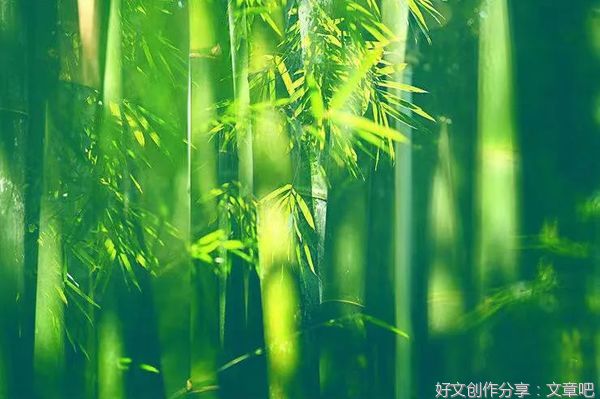 这个夏天，如你所愿！