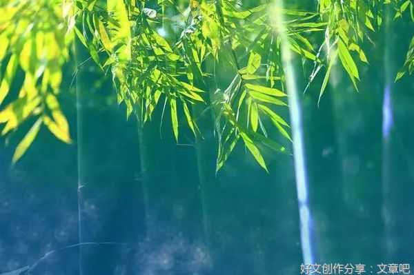 这个夏天，如你所愿！