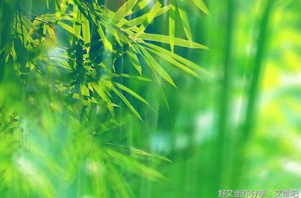 这个夏天，如你所愿！